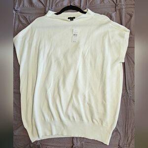 Ann Taylor Factory Ivory Knit Top